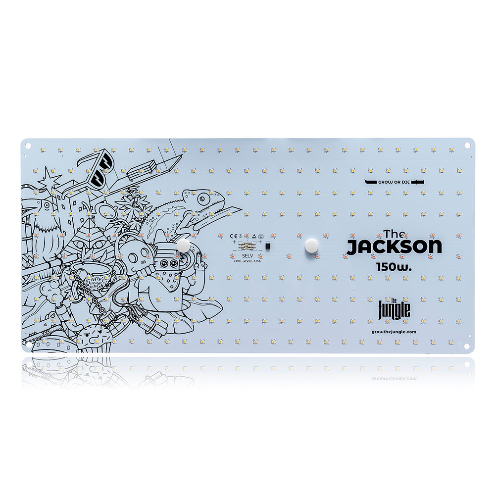 LED The Jackson 150W_