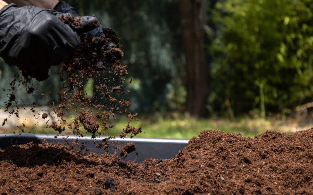 Super Soil: el sustrato definitivo para el cultivo orgánico de cannabis